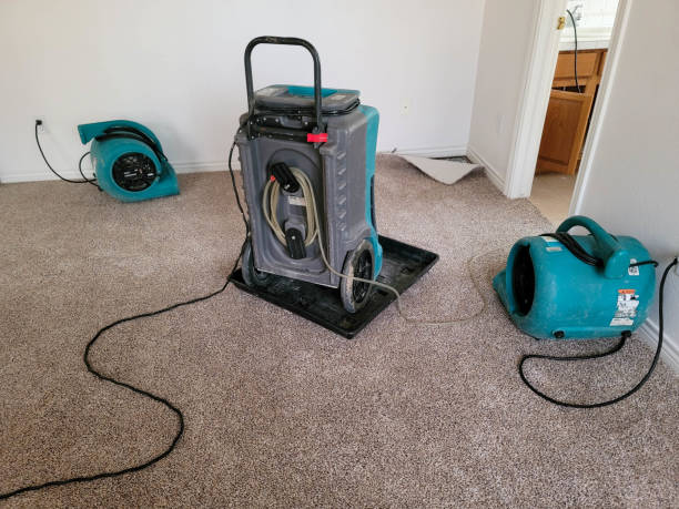 Best 24-hour water damage restoration  in Lemoore, CA