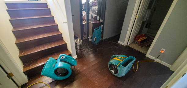 Best Flood restoration services  in Lemoore, CA
