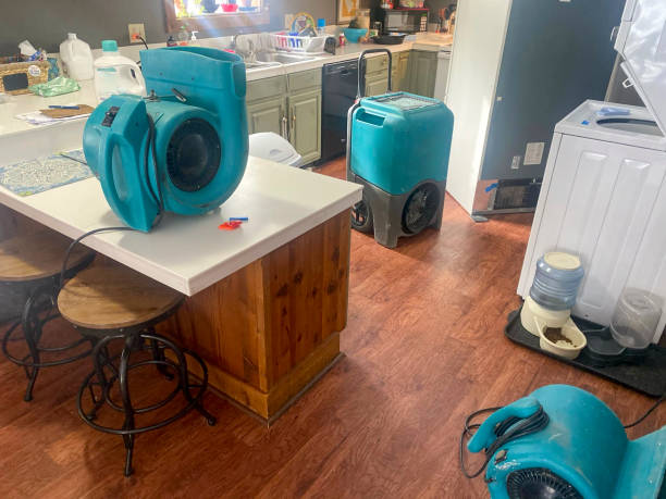 Best Sewage cleanup and water damage restoration  in Lemoore, CA