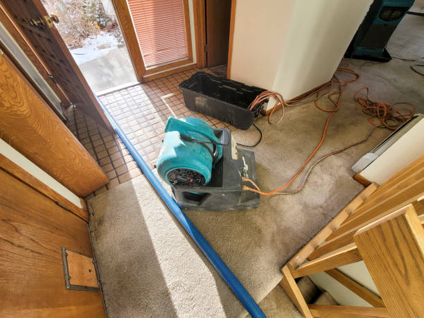 Best Flood damage cleanup  in Lemoore, CA