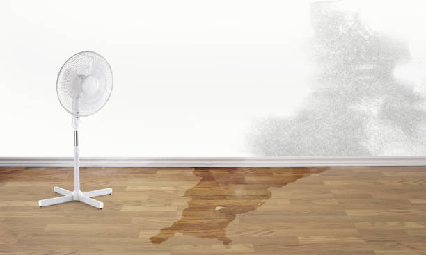 Best 24/7 water damage repair  in Lemoore, CA