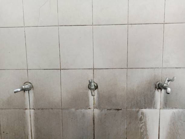 Best Water damage contractors near me  in Lemoore, CA