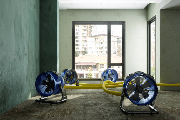 Reliable Lemoore, CA Water damage restoration Solutions