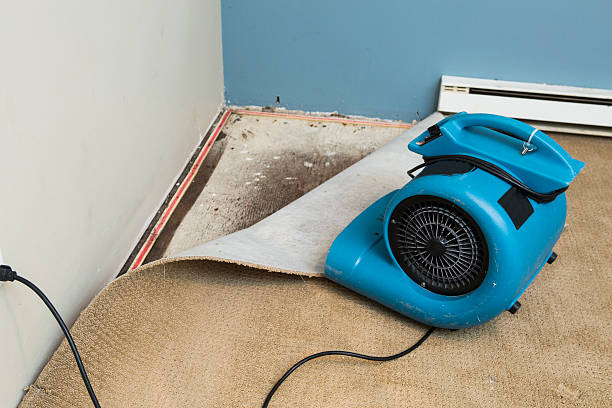 Best Basement water damage restoration  in Lemoore, CA